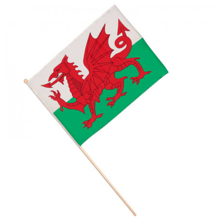 Small Welsh Flag On A Stick B4