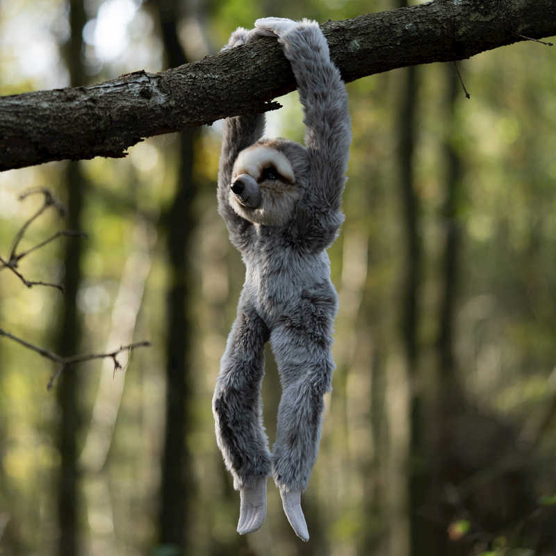 Animigos World Of Nature Hanging Sloth