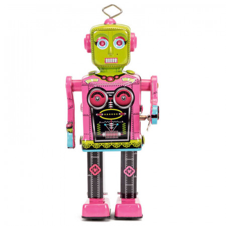 Roberta Robot
