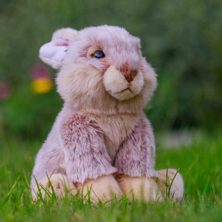 Animigos - European Rabbit - World of Nature