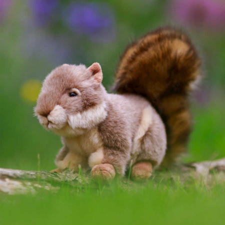 Animigos - Grey Squirrel - World of Nature