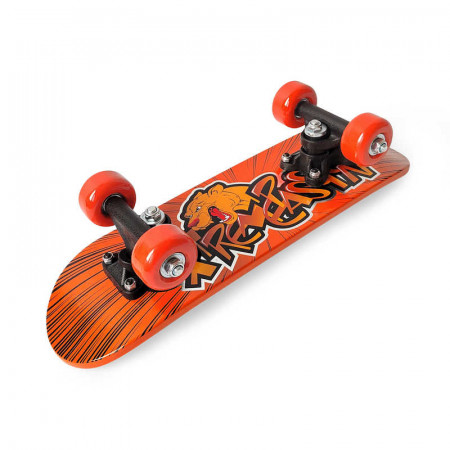 Mirror Skateboard - 17 Inch
