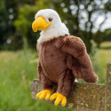 Animigos - Bald Eagle - World of Nature