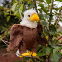 Animigos - Bald Eagle - World of Nature