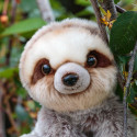 Animigos - Sloth - World of Nature
