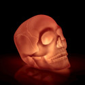 Colour Changing Light Up Skull