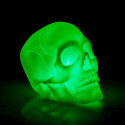 Colour Changing Light Up Skull