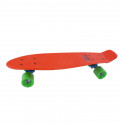 Plastic Skateboard 22 Inch